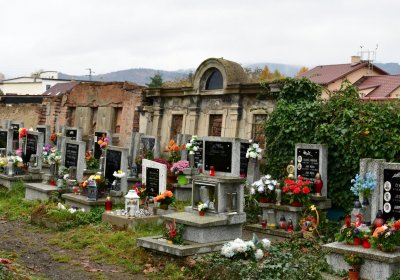 Novosedlice, Omnium, 2020