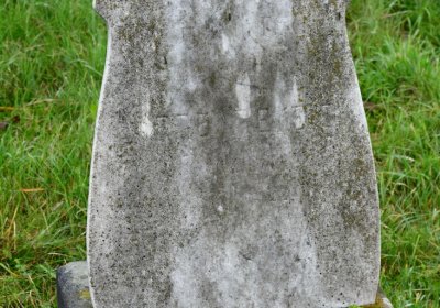 Novosedlice, Omnium, 2020