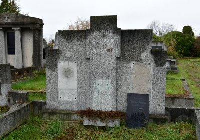 Novosedlice, Omnium, 2020