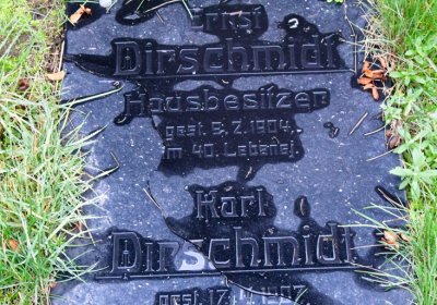 Novosedlice, Omnium, 2020