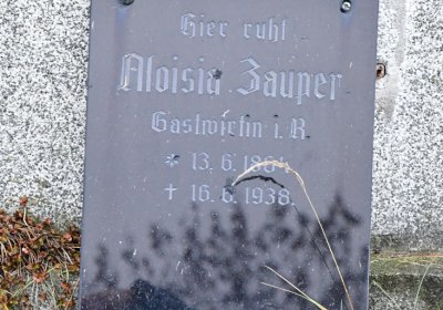 Novosedlice, Omnium, 2020