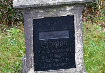 Novosedlice, Omnium, 2020