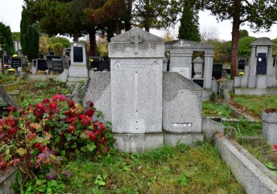 Novosedlice, Omnium, 2020