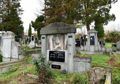 Novosedlice, Omnium, 2020