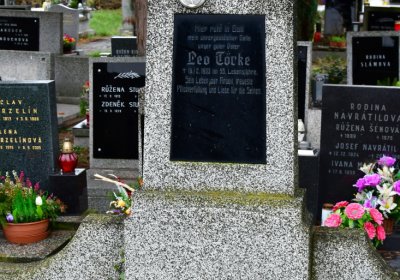 Novosedlice, Omnium, 2020