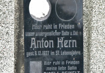 Novosedlice, Omnium, 2020