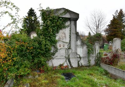 Novosedlice, Omnium, 2020