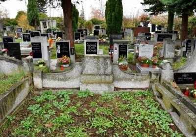 Novosedlice, Omnium, 2020