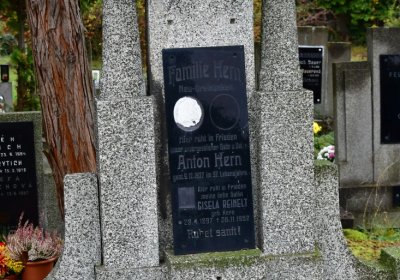 Novosedlice, Omnium, 2020