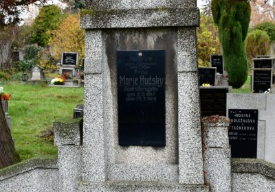 Novosedlice, Omnium, 2020