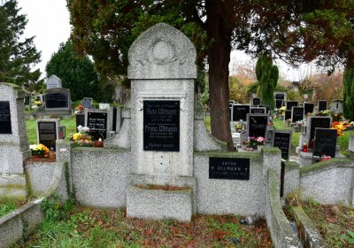 Novosedlice, Omnium, 2020