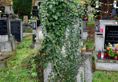 Novosedlice, Omnium, 2020