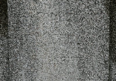 Novosedlice, Omnium, 2020