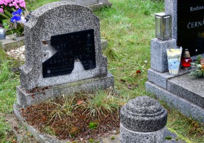 Novosedlice, Omnium, 2020