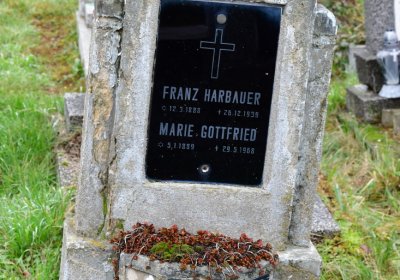 Novosedlice, Omnium, 2020