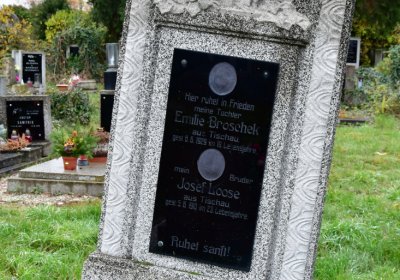 Novosedlice, Omnium, 2020