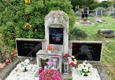 Novosedlice, Omnium, 2020