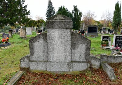 Novosedlice, Omnium, 2020