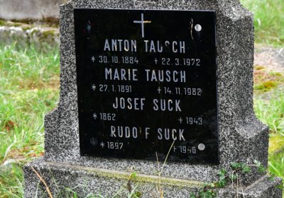 Novosedlice, Omnium, 2020