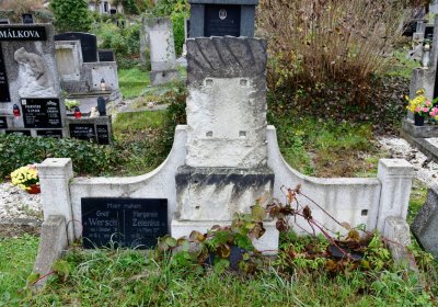 Novosedlice, Omnium, 2020