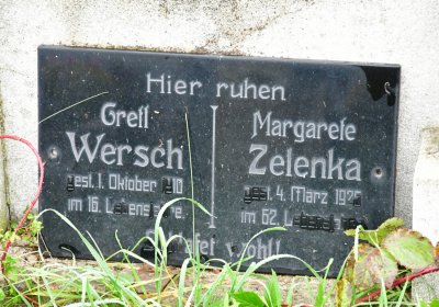 Novosedlice, Omnium, 2020