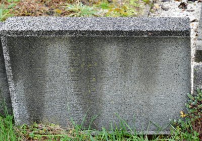 Novosedlice, Omnium, 2020