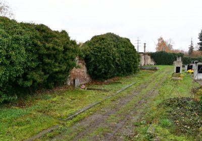 Novosedlice, Omnium, 2020