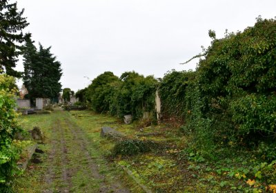 Novosedlice, Omnium, 2020