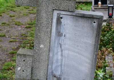 Novosedlice, Omnium, 2020