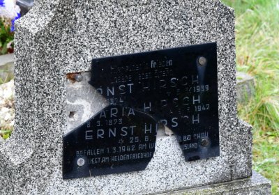 Novosedlice, Omnium, 2020