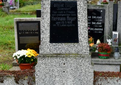 Novosedlice, Omnium, 2020