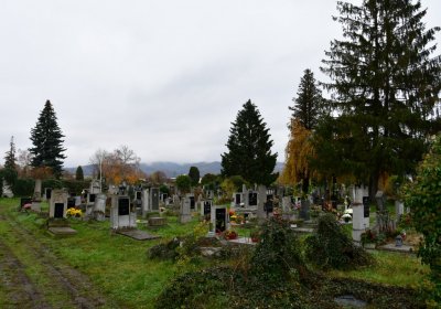 Novosedlice, Omnium, 2020