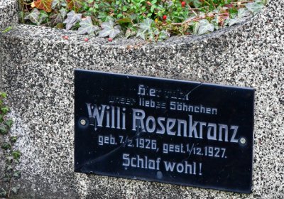 Novosedlice, Omnium, 2020