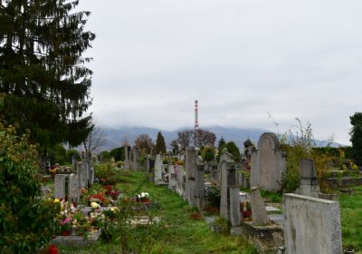 Novosedlice, Omnium, 2020