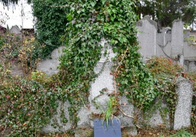 Novosedlice, Omnium, 2020