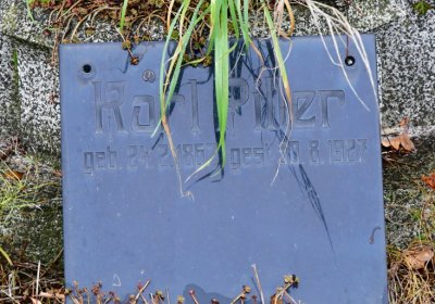 Novosedlice, Omnium, 2020