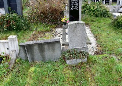 Novosedlice, Omnium, 2020