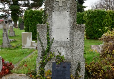 Novosedlice, Omnium, 2020