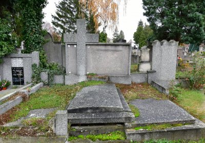 Novosedlice, Omnium, 2020