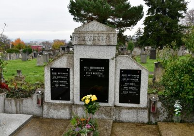 Novosedlice, Omnium, 2020