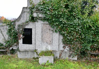 Novosedlice, Omnium, 2020