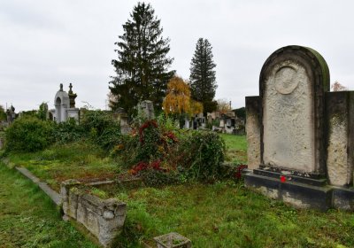 Novosedlice, Omnium, 2020