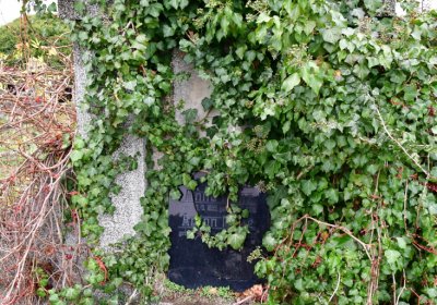 Novosedlice, Omnium, 2020