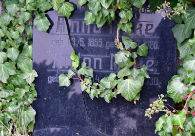 Novosedlice, Omnium, 2020