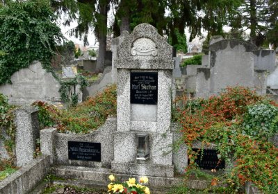 Novosedlice, Omnium, 2020