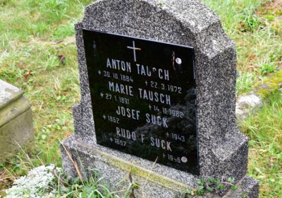 Novosedlice, Omnium, 2020