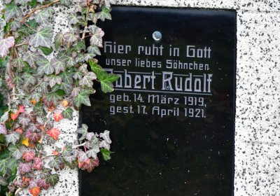 Novosedlice, Omnium, 2020