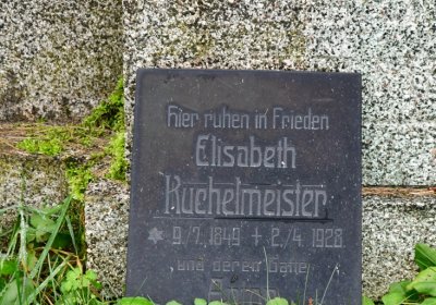 Novosedlice, Omnium, 2020