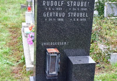 Novosedlice, Omnium, 2020