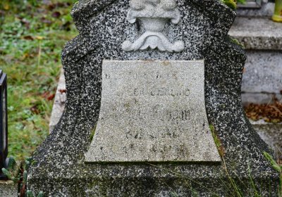 Novosedlice, Omnium, 2020